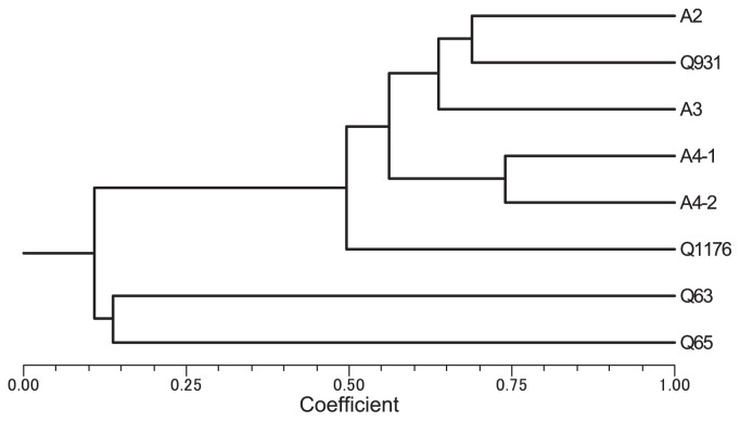 Fig. 1