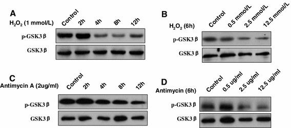 Fig. 4