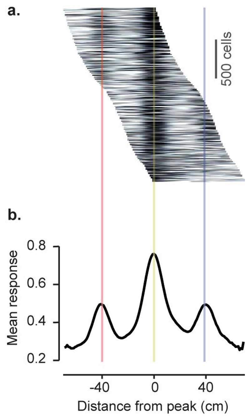 Extended Data Figure 2