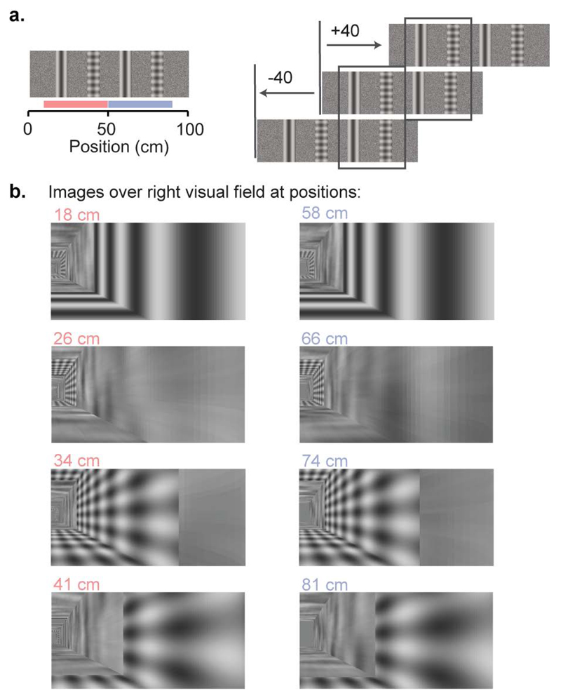 Extended Data Figure 1