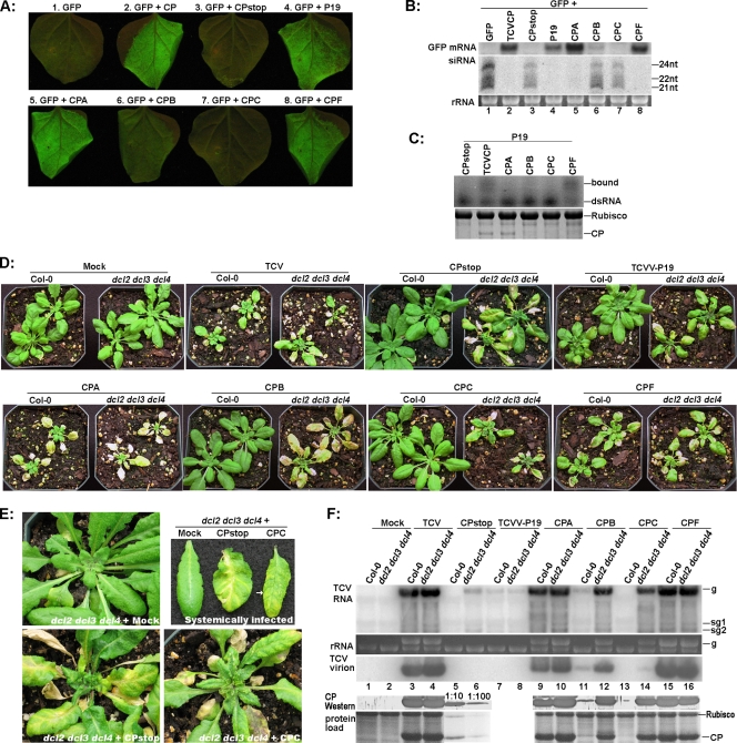 FIG. 3.