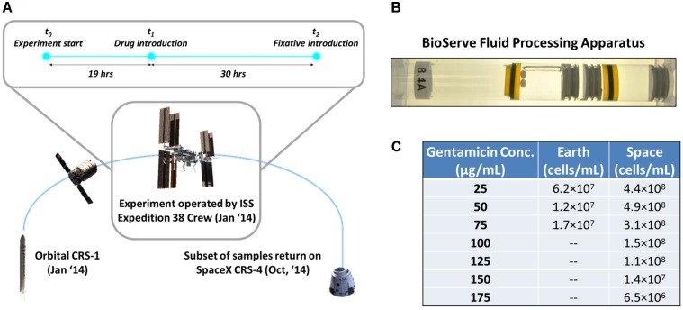 FIGURE 1