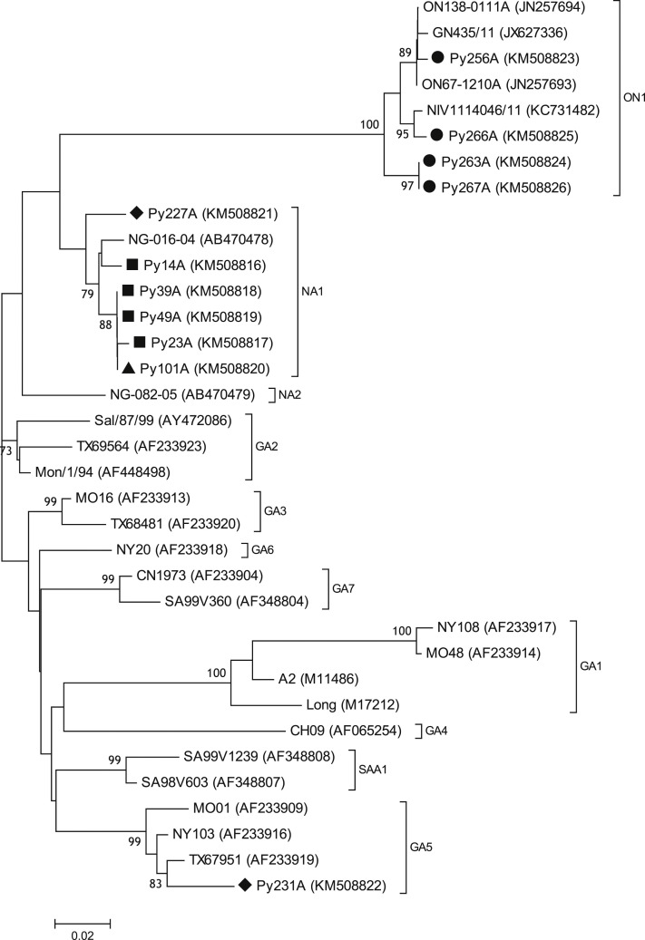 Fig. 1