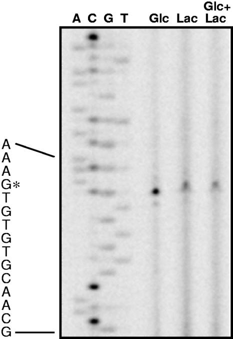 FIG. 5.