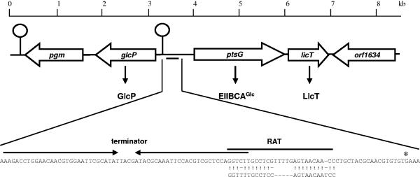 FIG. 4.