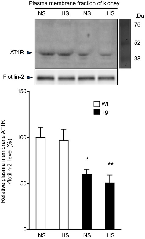 Figure 6.