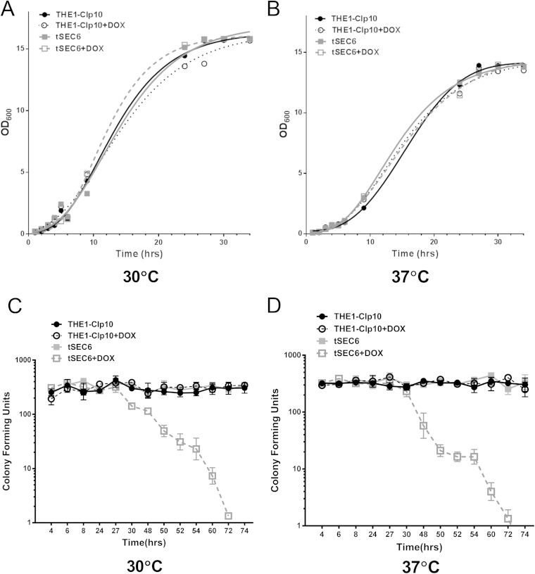 FIG 1