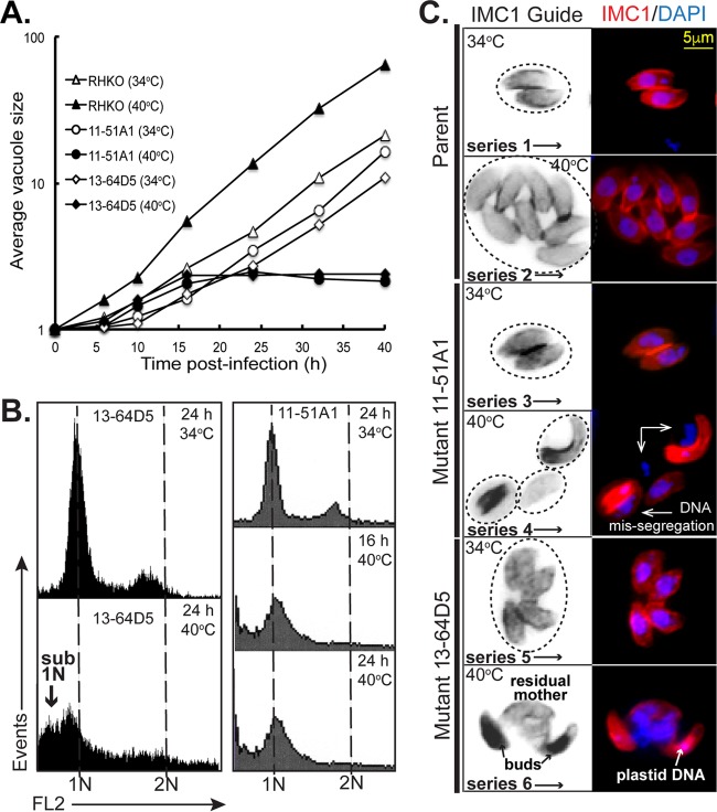 FIG 1 