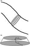 Figure 7: