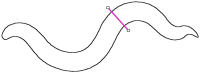 Figure 6: