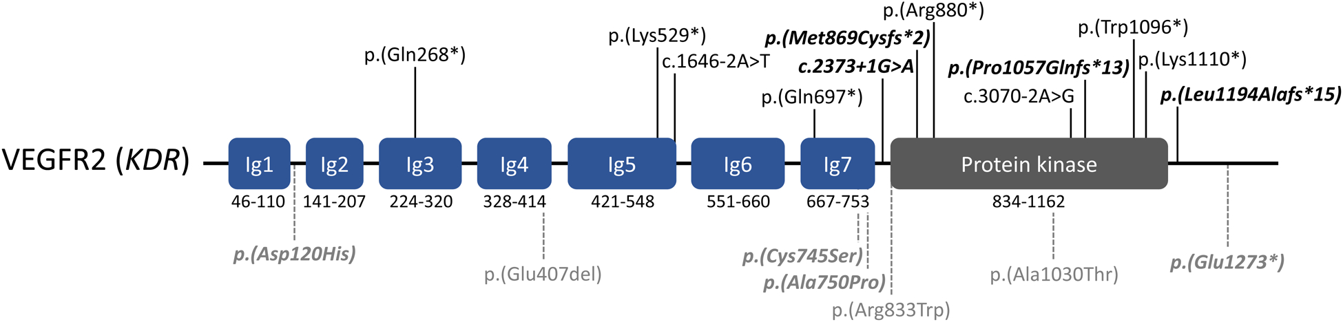 Figure 2: