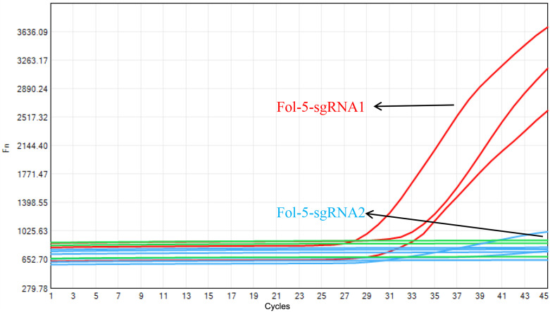 Figure 3