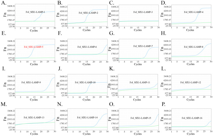 Figure 2