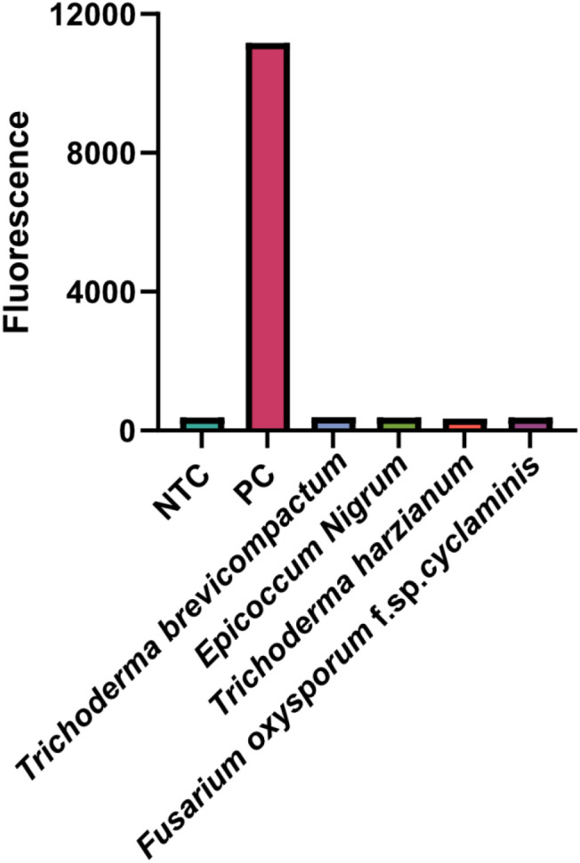 Figure 7