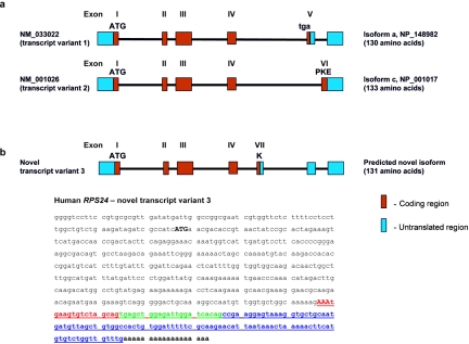 Figure  2. 