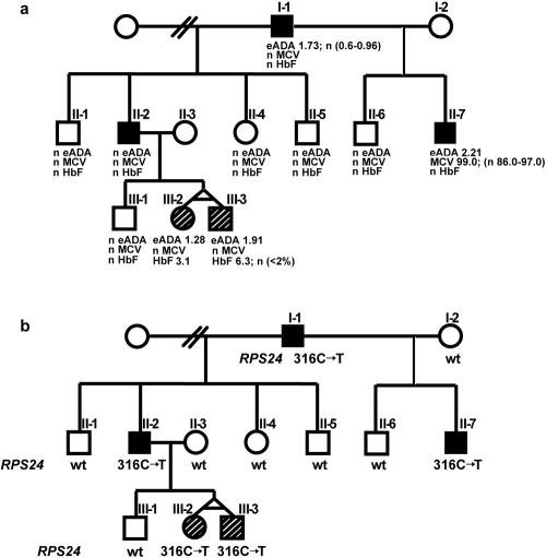 Figure  1. 