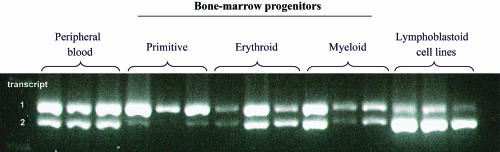 Figure  4. 