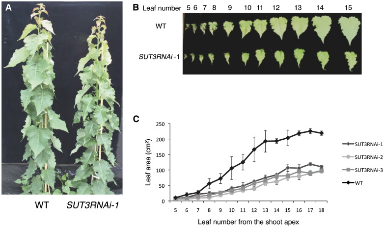 Figure 4.