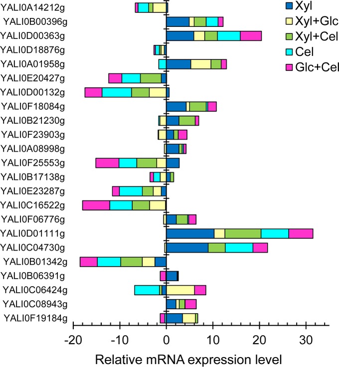 FIG 6