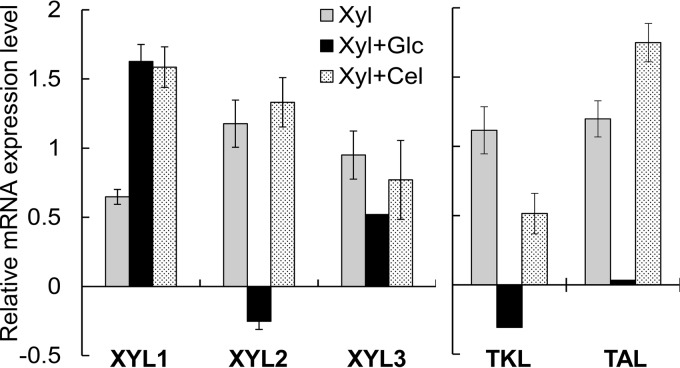 FIG 3