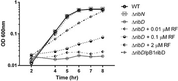 Fig. 1