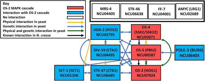 Fig. 10