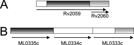 FIG. 8.