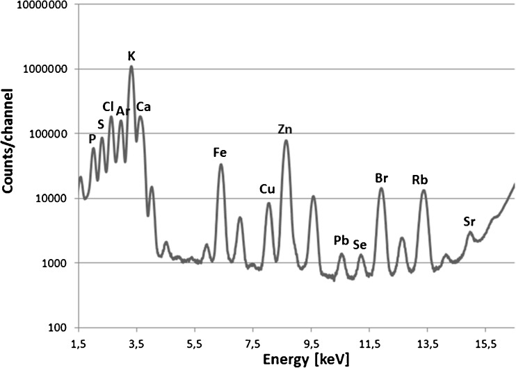 Fig. 1