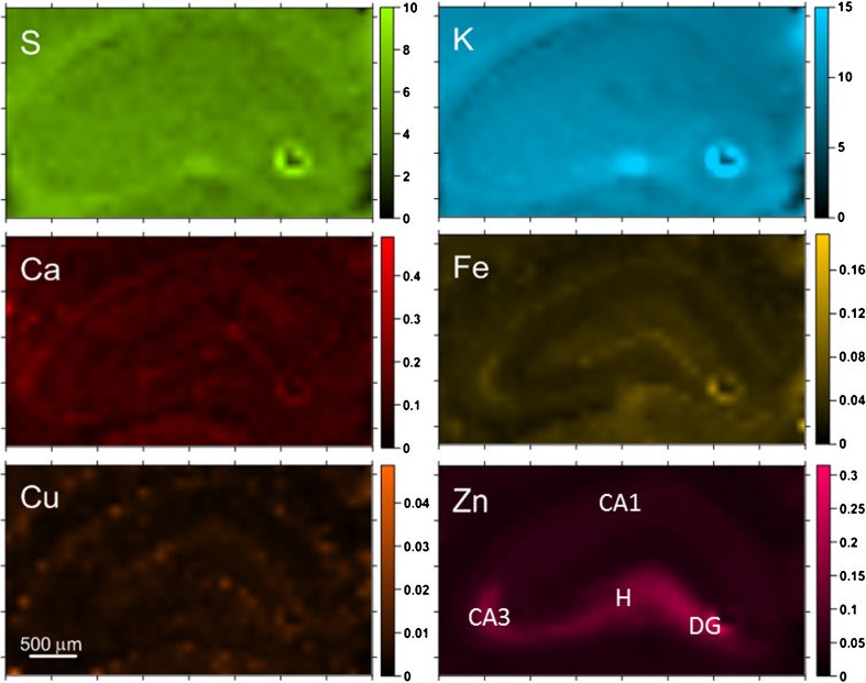 Fig. 3