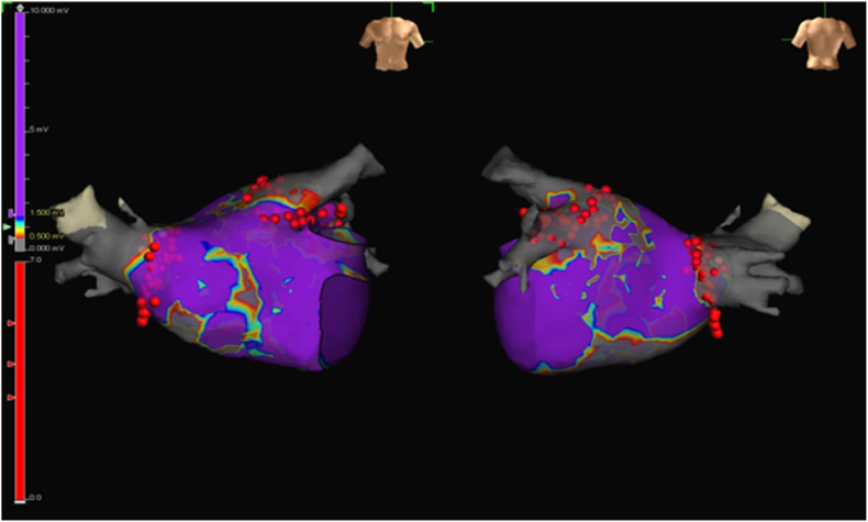 Fig. 3