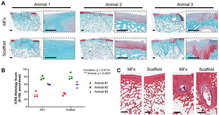 Figure 6.