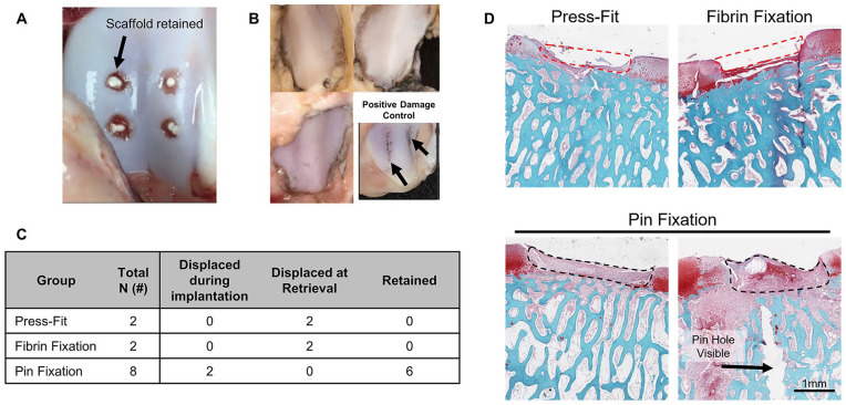 Figure 2.