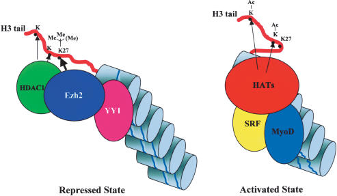 Figure 7.