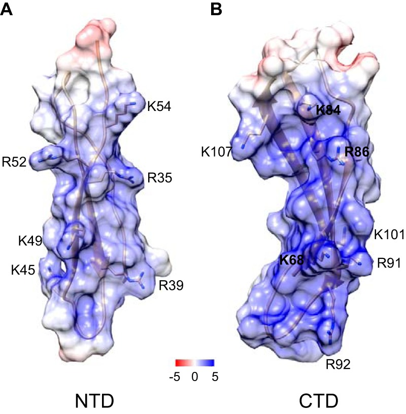 Figure 9.