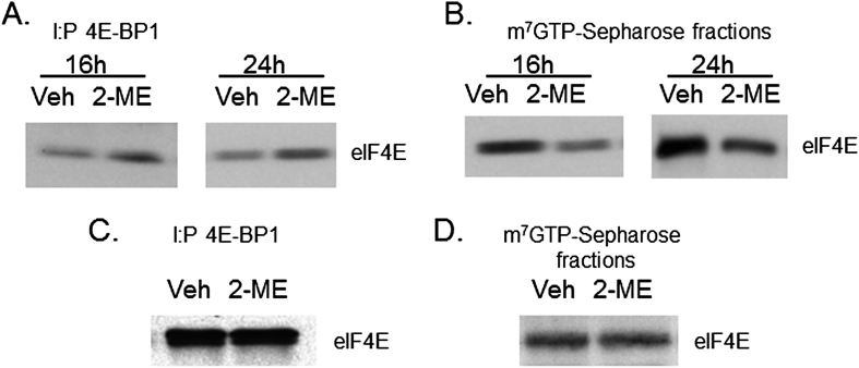 Figure. 1