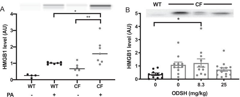 Fig. 5
