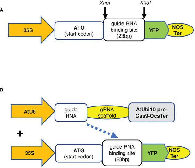 Figure 3