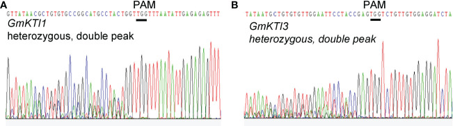 Figure 5