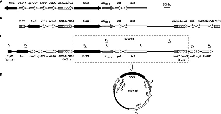 FIG 1