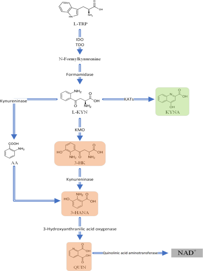 Figure 7