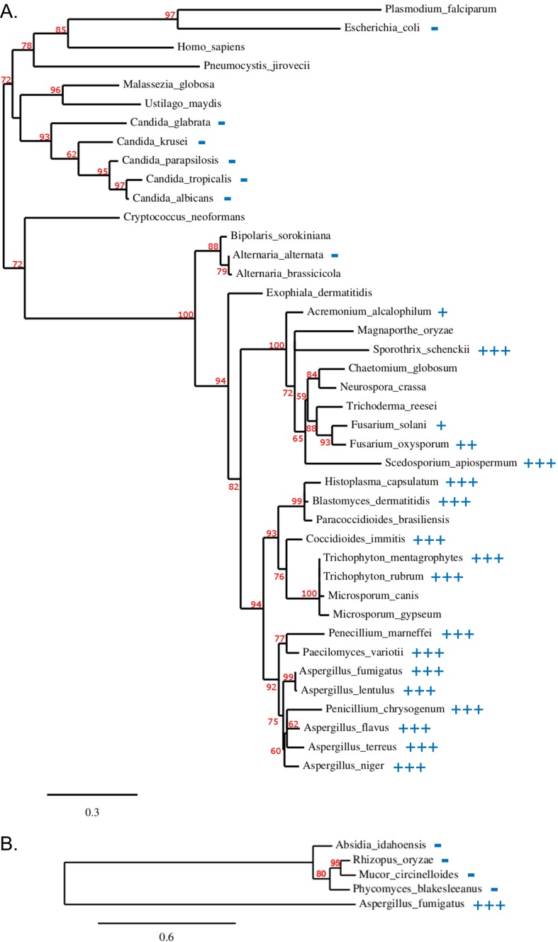 Fig. S7.