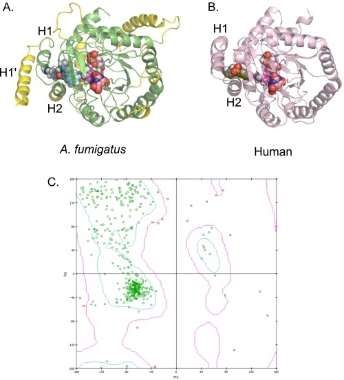 Fig. S6.