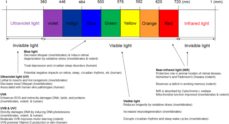 Figure 1: