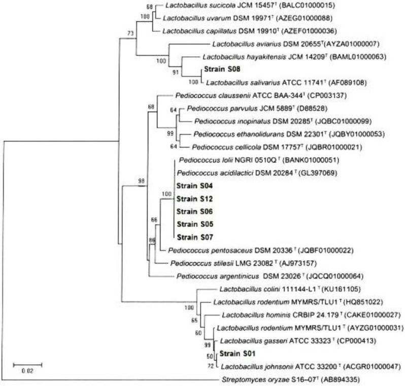 Fig. 3