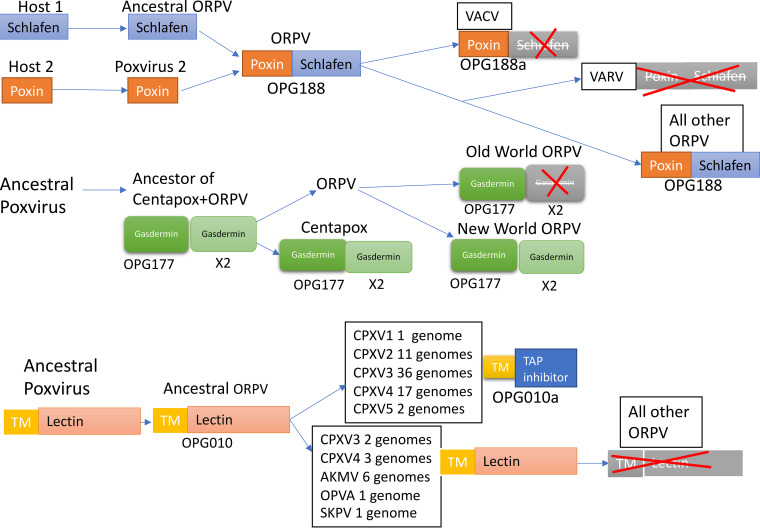 FIG 10