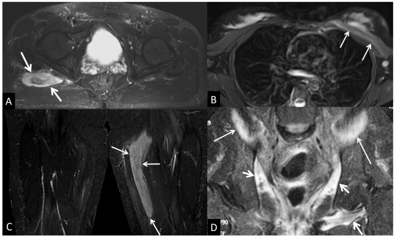 Figure 24