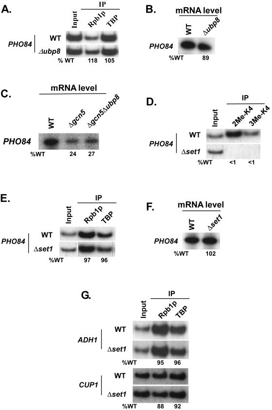 FIG. 8.