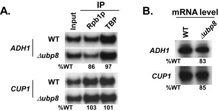 FIG. 9.