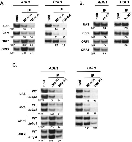 FIG. 7.