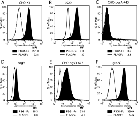 FIGURE 1.